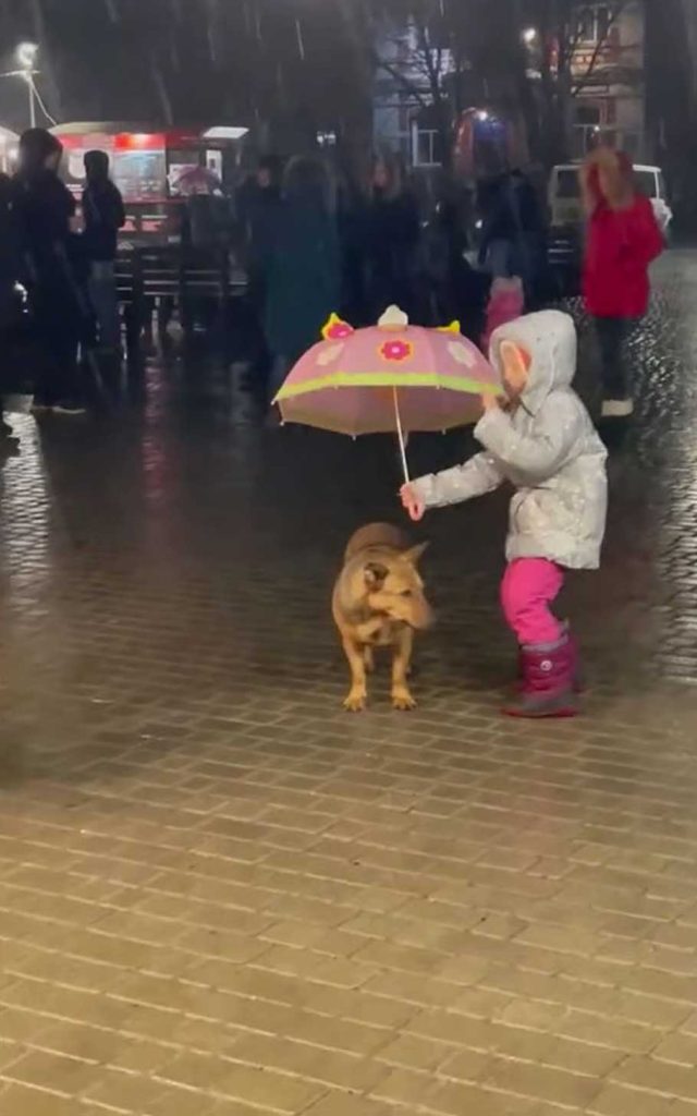 Little girl touching gesture dog rain