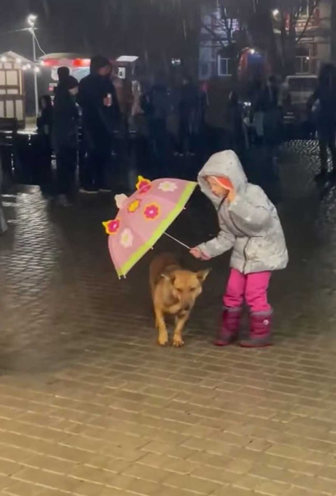 Little girl touching gesture dog rain