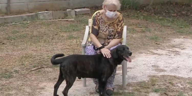 dog moves into retirement home not to be separated owner