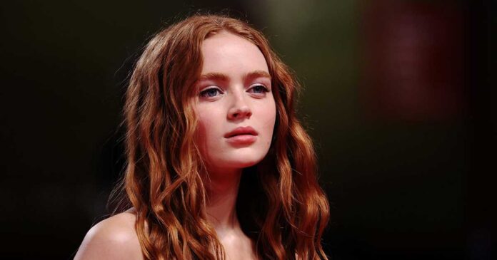 What Role Did Sadie Sink Get in the New Spider-Man Movie