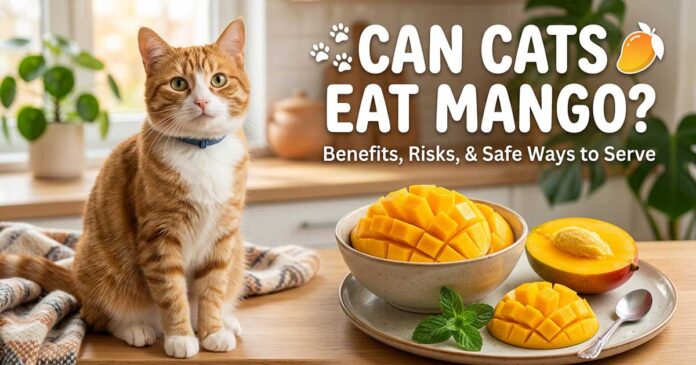 Can-Cats-Eat-Mango Can Cats Eat Mango