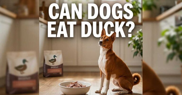 Can Dogs Eat Duck