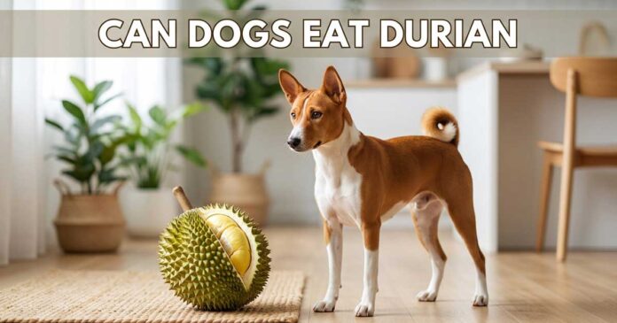 Can Dogs Eat Durian