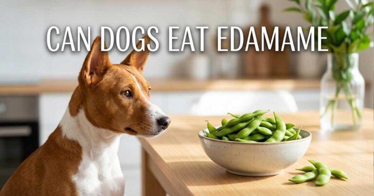 Can Dogs Eat Edamame