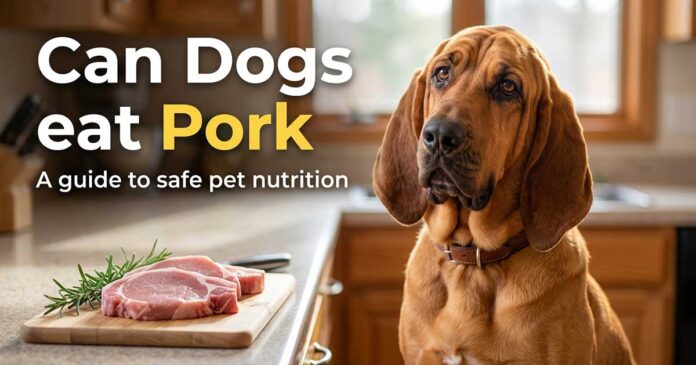 Can Dogs Eat Pork