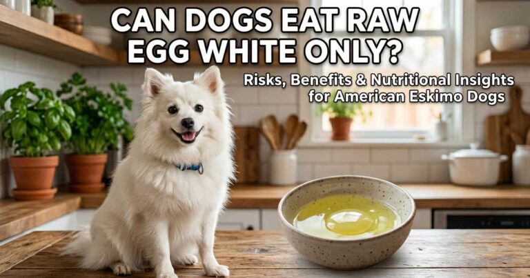 Can Dogs Eat Raw Egg White