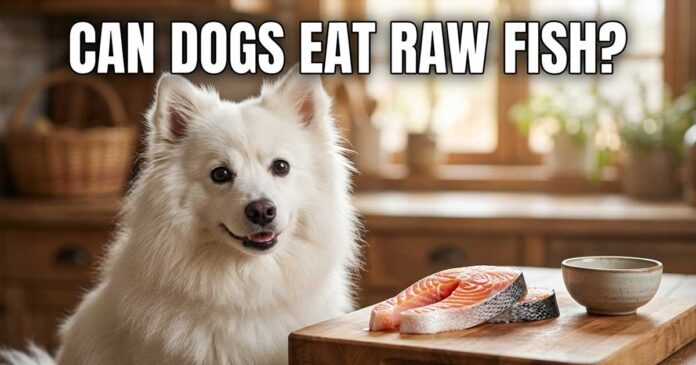 Can Dogs Eat Raw Fish