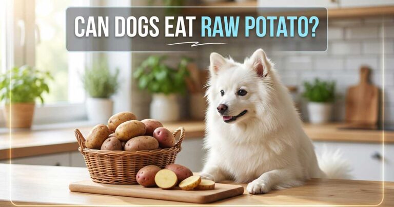 Can Dogs Eat Raw Potato