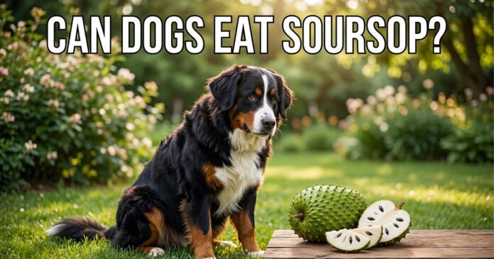 Can-Dogs-Eat-Soursop Can Dogs Eat Soursop