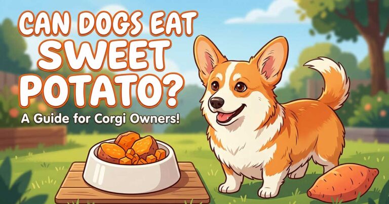 Can Dogs Eat Sweet Potato