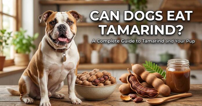 Can Dogs Eat Tamarind