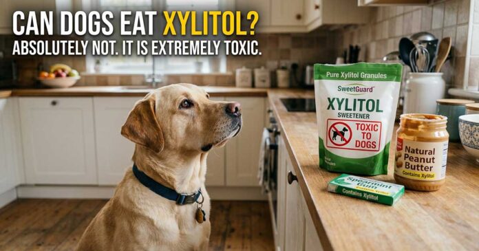 Can Dogs Eat Xylitol