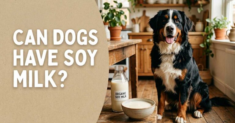Can Dogs Have Soy Milk