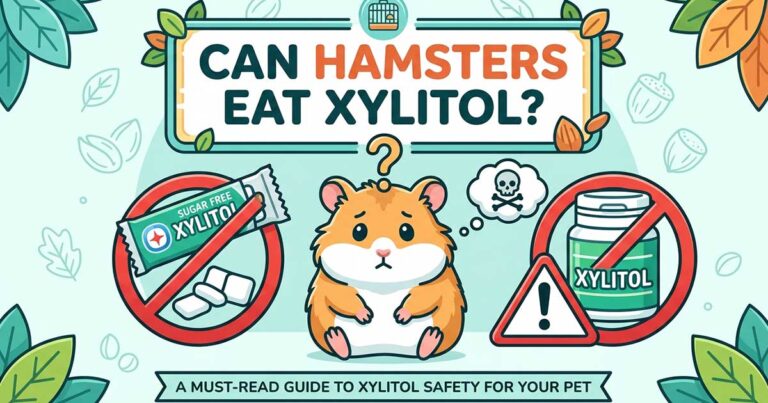 Can Hamsters Eat Xylitol